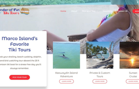 Website Design and Development Defender of Fun Tiki Tours Paradise Web Marketing Services