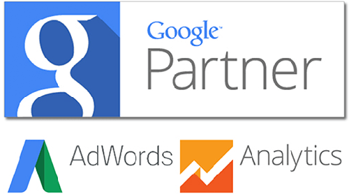Paradise Web Design Service Logo Brand Asset Google Partner Adwords Analytics Certified